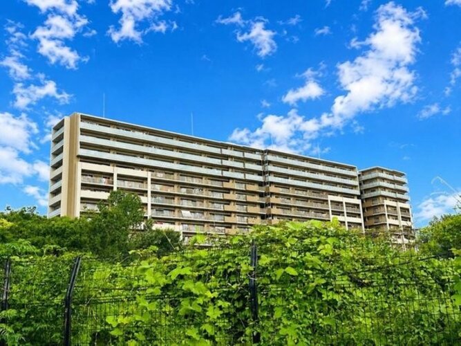 現地外観写真 現地外観写真