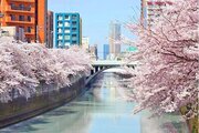 その他環境写真