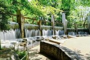 公園 公園