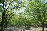 その他環境写真 その他環境写真