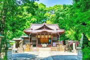 その他環境写真