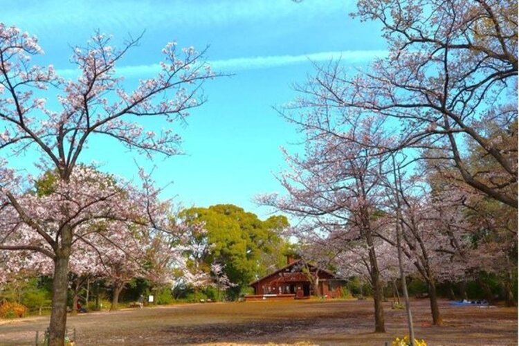 公園