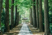 公園