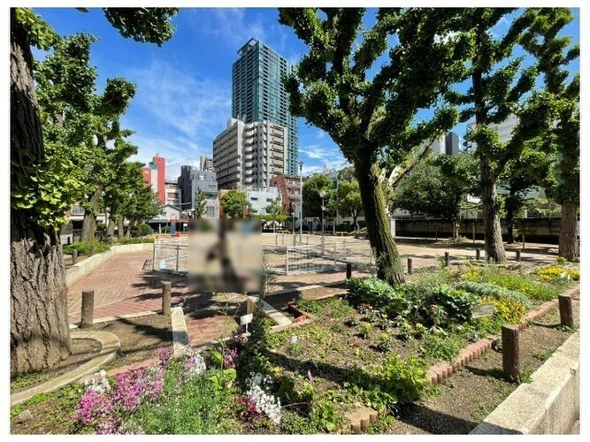 緑や花壇が綺麗に整えられた広々とした公園が近隣にございます！お子様が元気いっぱいに走り回れる開放的な空間で、ベンチも設置されています♪お散歩や休日のお出かけスポットとして心地よく活用できますね！