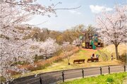 その他環境写真