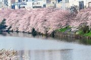 その他環境写真 その他環境写真
