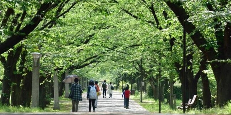 公園 公園