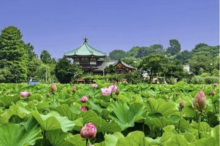 その他環境写真 その他環境写真