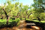 公園