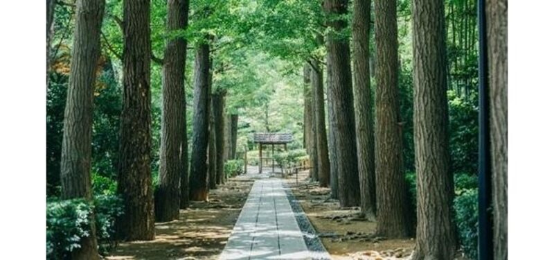 その他環境写真