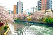 その他環境写真