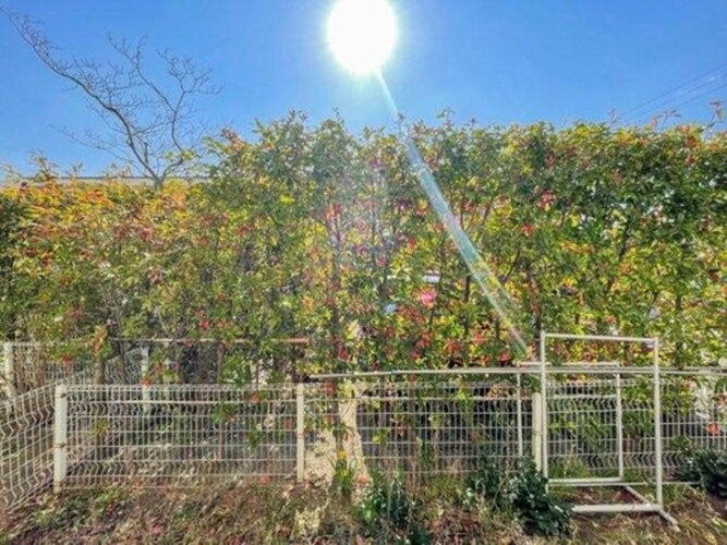 住戸からの眺望写真 住戸からの眺望写真