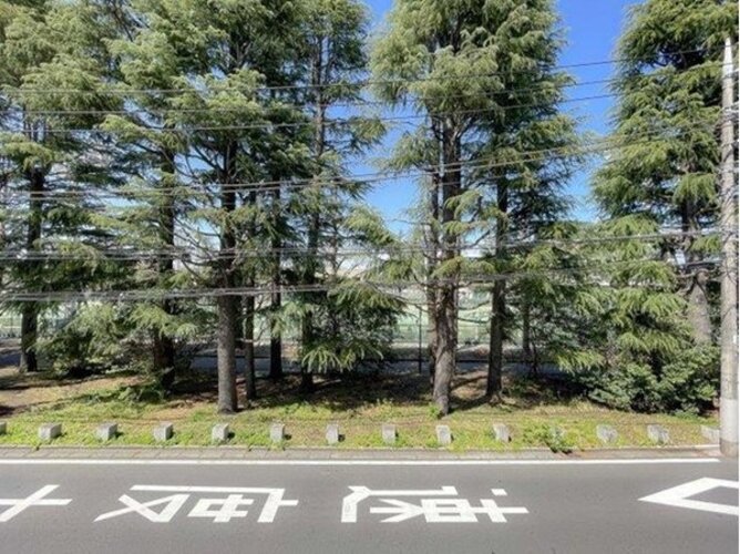 住戸からの眺望写真