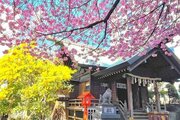 その他環境写真 その他環境写真