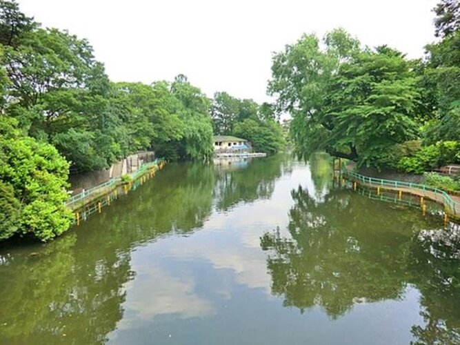 公園 公園