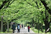 公園 公園