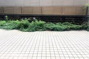 バルコニー バルコニー