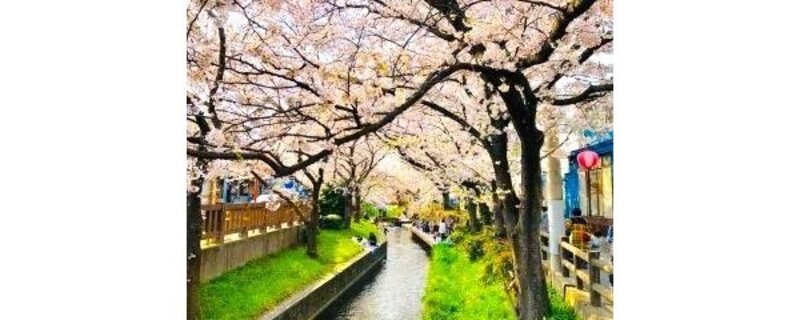その他環境写真 その他環境写真