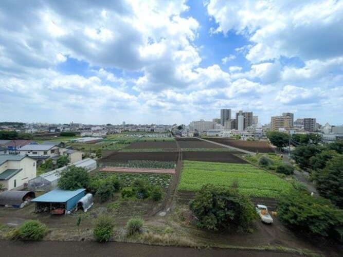 住戸からの眺望写真 住戸からの眺望写真