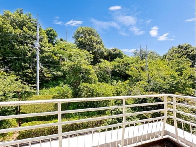住戸からの眺望写真 住戸からの眺望写真