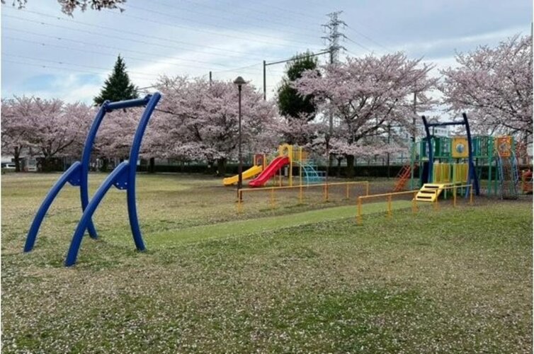 公園 公園
