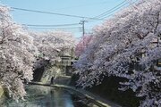 その他環境写真 その他環境写真