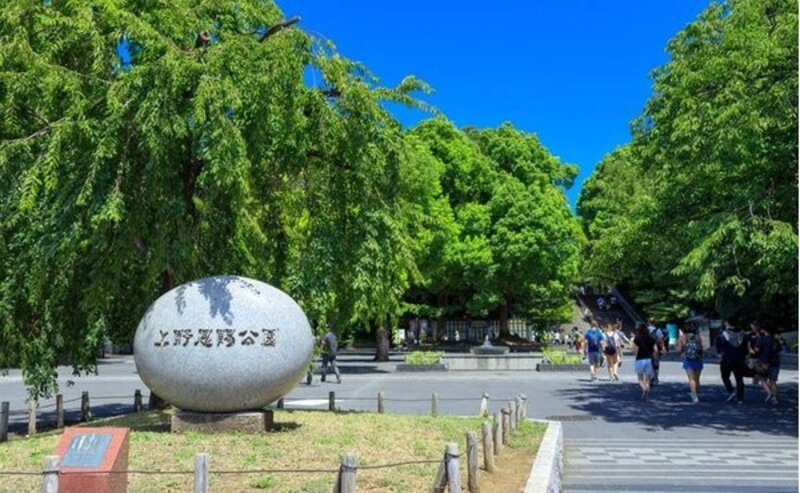 その他環境写真