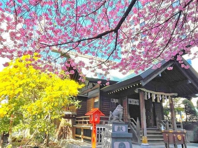その他環境写真 その他環境写真