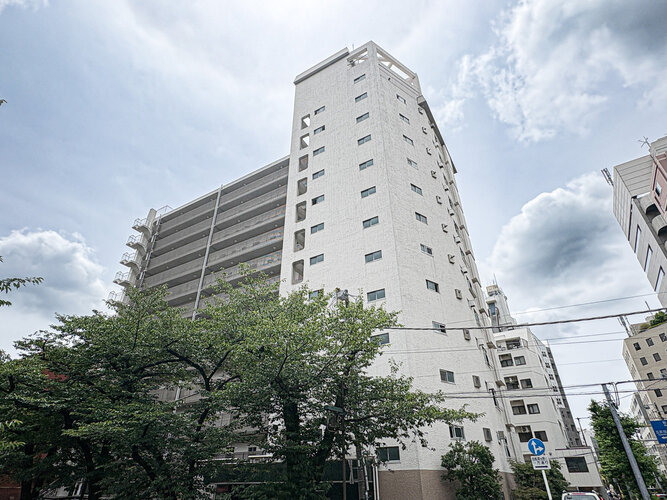 優しく迎えてくれる豊かな自然。四季の移り変わりを感じる心地よい場所となりそうです。