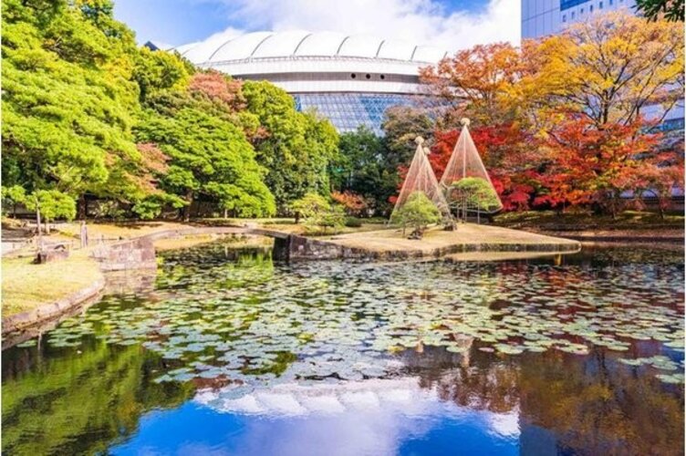 公園