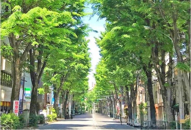 その他環境写真