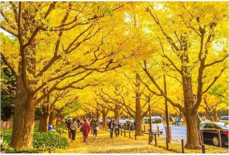 その他環境写真 その他環境写真