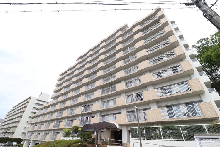 外観 外観
