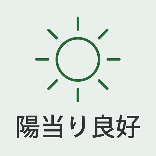 リビング リビング
