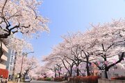 その他環境写真