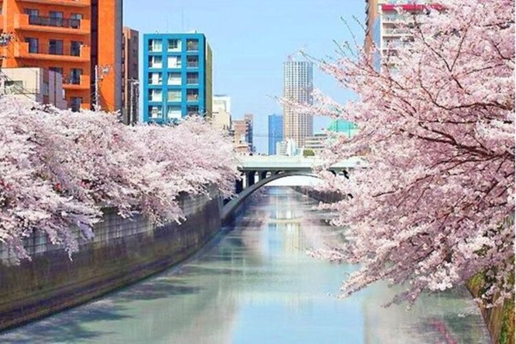 その他環境写真
