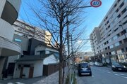 その他現地 その他現地
