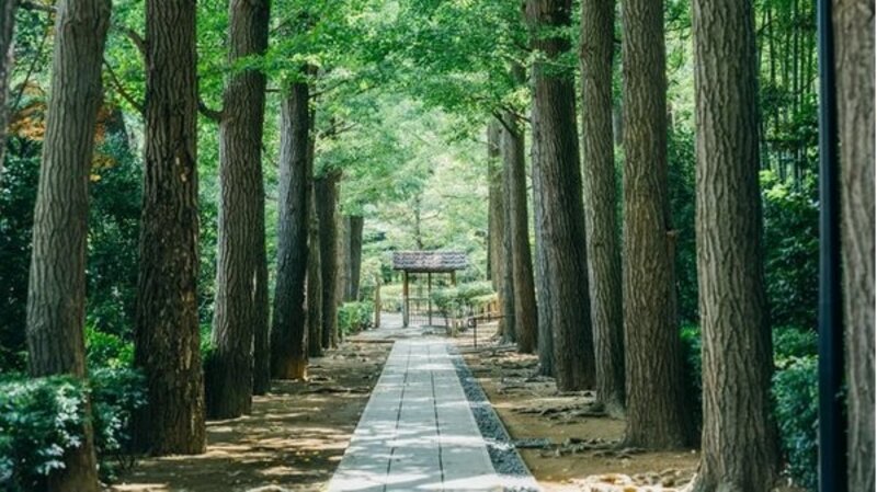 公園