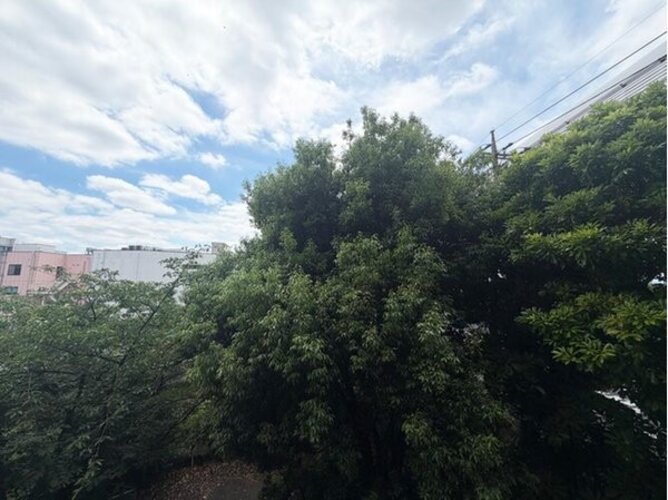 住戸からの眺望写真
